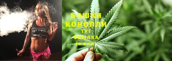 спиды Вяземский