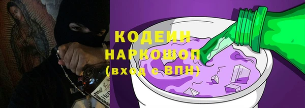 спиды Вяземский