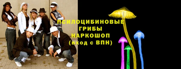 спиды Вяземский