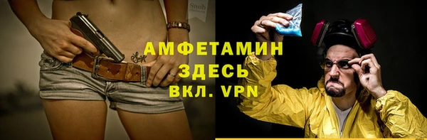 индика Михайловка