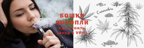 спиды Вяземский