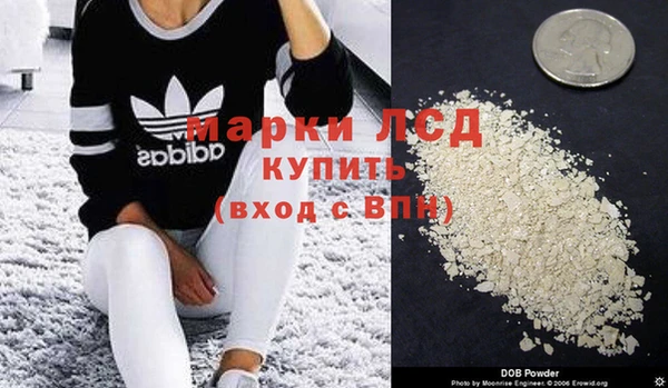 спиды Вяземский