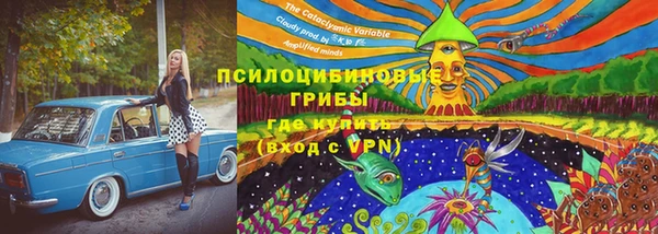 гидра Усинск