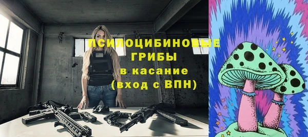 спиды Вяземский