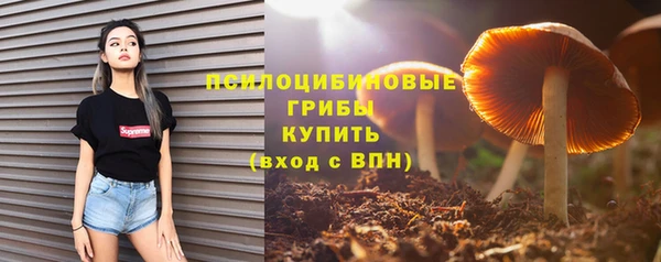 эйфоретик Вязьма