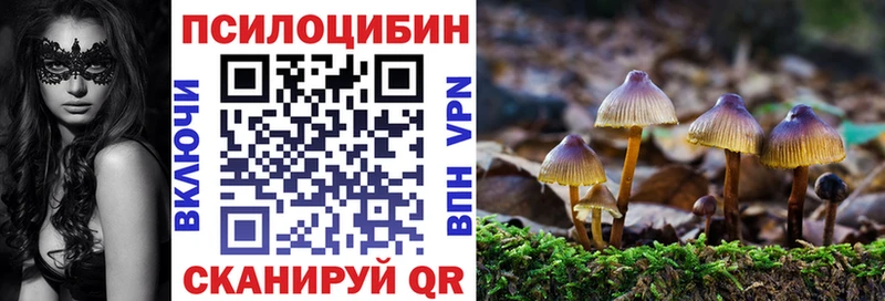 Галлюциногенные грибы мухоморы  Новосокольники 