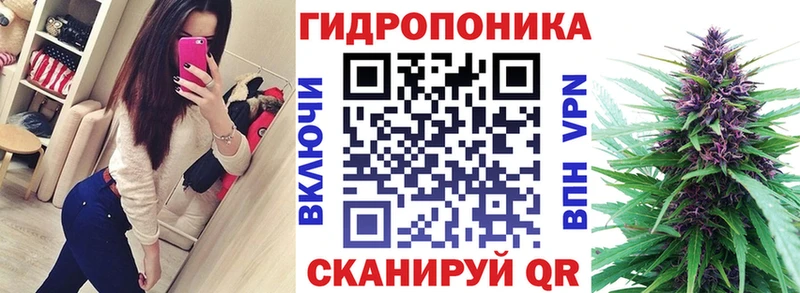 ссылка на мегу как войти  Новосокольники  Каннабис ГИДРОПОН  где найти наркотики 
